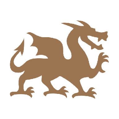 DragonRidge Tennis and Athletic Center logo
